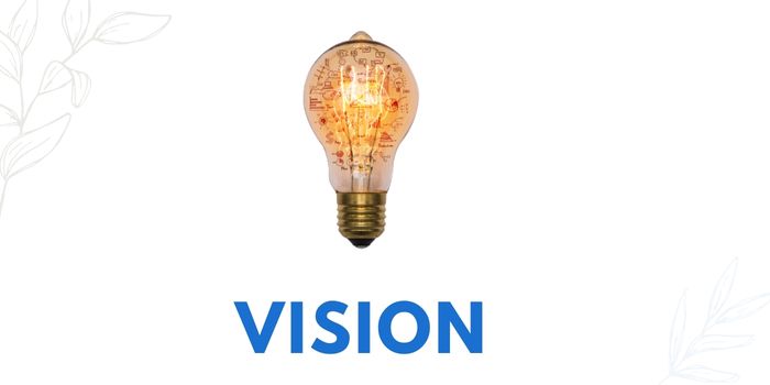 Vision